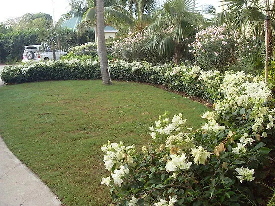 Nelson Spring Beach Villas & Spa Basseterre Hotel